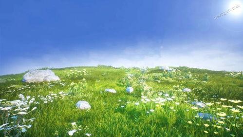 青青草原在线视频观看,青青草原在线视频精彩回顾  第1张